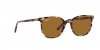 RB2197 Elliot Sunglasses