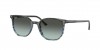RB2197 Elliot Sunglasses