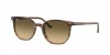 RB2197 Elliot Sunglasses