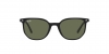 RB2197 Elliot Sunglasses