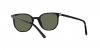 RB2197 Elliot Sunglasses