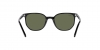RB2197 Elliot Sunglasses