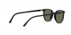RB2197 Elliot Sunglasses