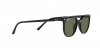RB2197 Elliot Sunglasses