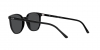 RB2197 Elliot Sunglasses