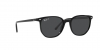 RB2197 Elliot Sunglasses