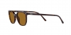 RB2197 Elliot Sunglasses