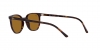 RB2197 Elliot Sunglasses