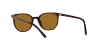 RB2197 Elliot Sunglasses