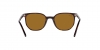 RB2197 Elliot Sunglasses