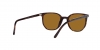 RB2197 Elliot Sunglasses