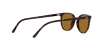 RB2197 Elliot Sunglasses