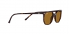 RB2197 Elliot Sunglasses