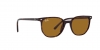 RB2197 Elliot Sunglasses
