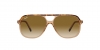 RB2198 Bill Sunglasses