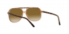 RB2198 Bill Sunglasses