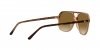 RB2198 Bill Sunglasses
