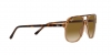RB2198 Bill Sunglasses