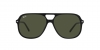 RB2198 Bill Sunglasses