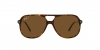 RB2198 Bill Sunglasses