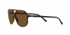 RB2198 Bill Sunglasses