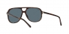 RB2198 Bill Sunglasses