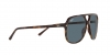 RB2198 Bill Sunglasses