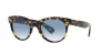 RB2199 Orion Sunglasses