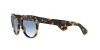 RB2199 Orion Sunglasses
