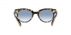 RB2199 Orion Sunglasses