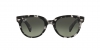 RB2199 Orion Sunglasses