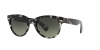 RB2199 Orion Sunglasses