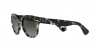RB2199 Orion Sunglasses