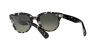 RB2199 Orion Sunglasses