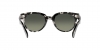 RB2199 Orion Sunglasses