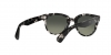 RB2199 Orion Sunglasses