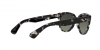 RB2199 Orion Sunglasses