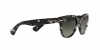 RB2199 Orion Sunglasses