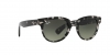 RB2199 Orion Sunglasses