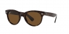RB2199 Orion Sunglasses