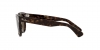 RB2199 Orion Sunglasses