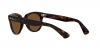 RB2199 Orion Sunglasses