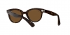 RB2199 Orion Sunglasses