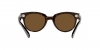 RB2199 Orion Sunglasses