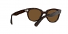RB2199 Orion Sunglasses