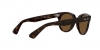 RB2199 Orion Sunglasses