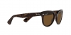 RB2199 Orion Sunglasses
