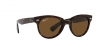 RB2199 Orion Sunglasses