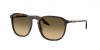 RB2203 Sunglasses
