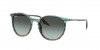 RB2204 Sunglasses